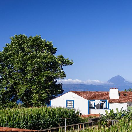 Vila Casas Dos Vimes Faja dos Vimes Exteriér fotografie