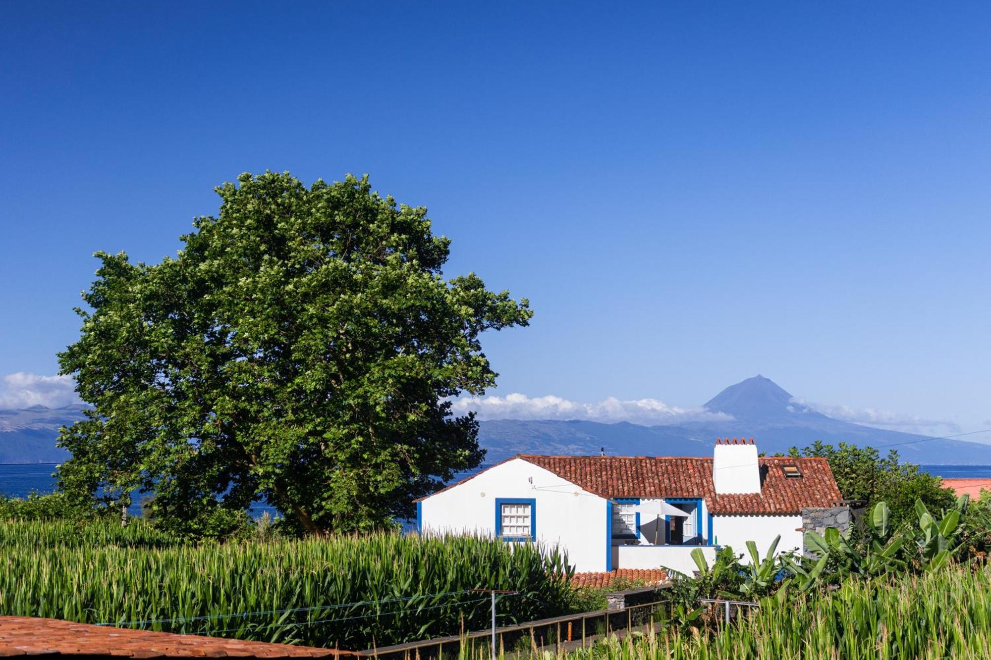 Vila Casas Dos Vimes Faja dos Vimes Exteriér fotografie